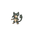 Alolan Rattata
